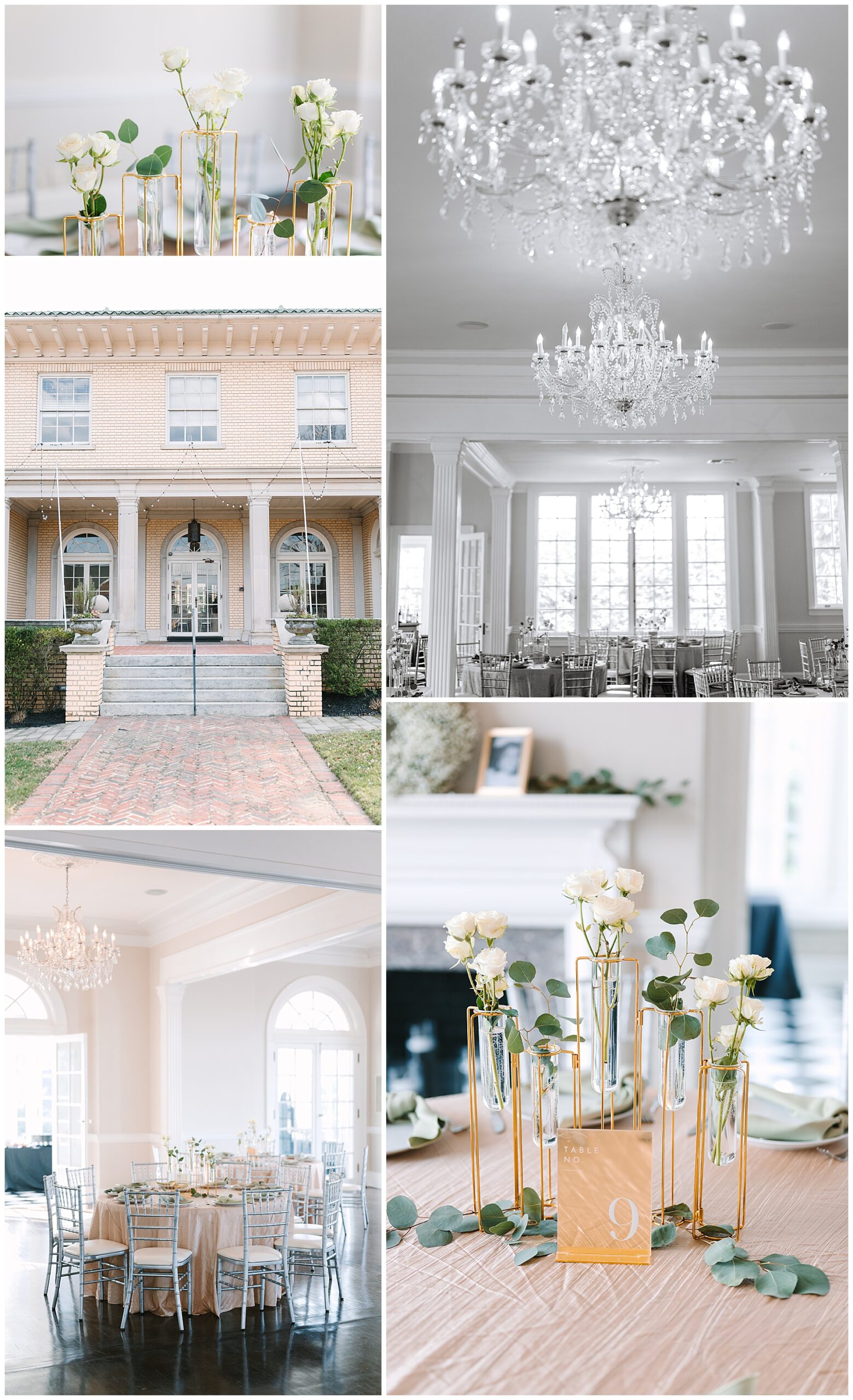 Photos of the grand ballroom at Separk Mansion